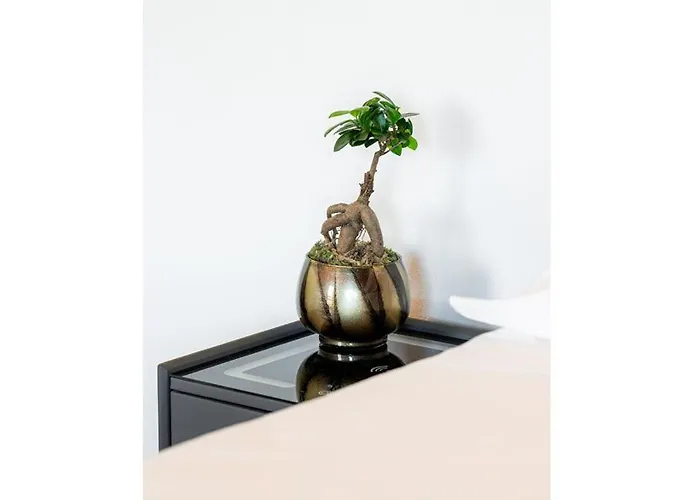 Bes Polaresco 3* Bergamo