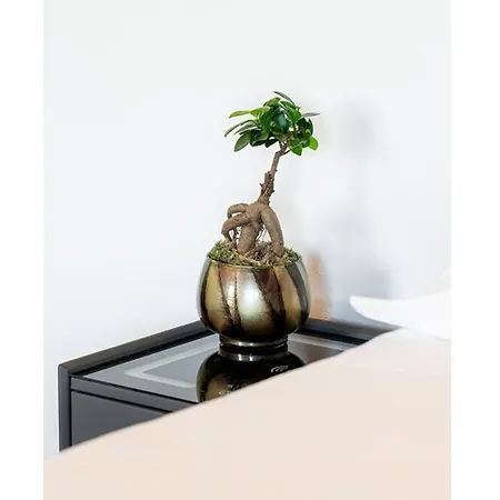 Bes Polaresco 3* Bergamo